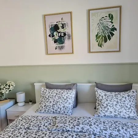 & Roza Πανσιόν 2*